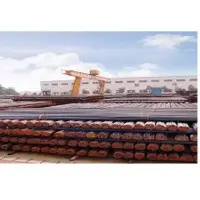Steel reinforcing bars