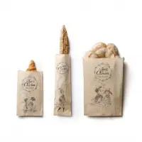 Paper Flat Bag