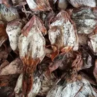 Dried Black Squid