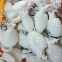 Frozen Baby Cuttlefish