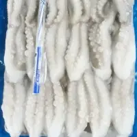 Frozen Baby Octopus Cut