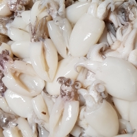 Frozen Baby Cuttlefish