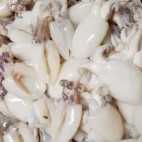 Frozen Baby Cuttlefish