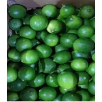 Fresh Seedless Lime