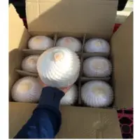 Young Coconut
