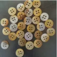 16L / 3.8mm Trocas Button