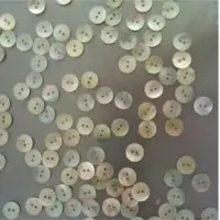 Agoya 14L Shirt Button