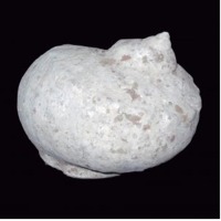 Sa Cu Snail Shell