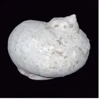 Sa Cu Snail Shell