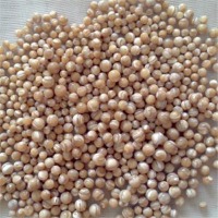 Pearl Round 10 Glasses