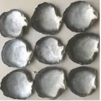 Tahiti Shell