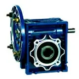 Worm gearmotor