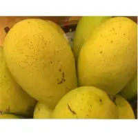 Fresh Mango