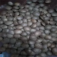 Sacha Inchi Seeds