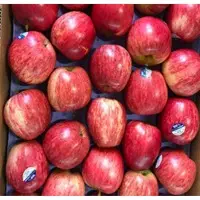 Fresh Apple