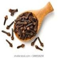 Clove
