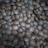 Sacha Inchi Seeds