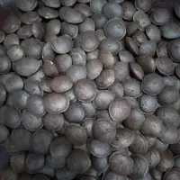 Sacha Inchi Seeds