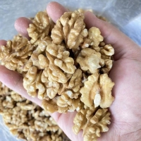 Walnut Kernel