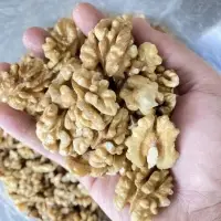 Walnut Kernel