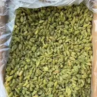 Chinese Green Raisin