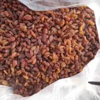 Red (Sultana)Raisin