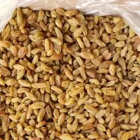 Raisins (Light Yellow color)