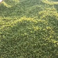 Raisins(100% Green )