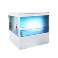 ICE 2K display