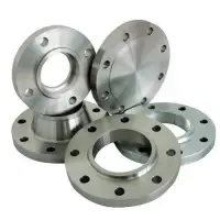 Hastealloy Flange