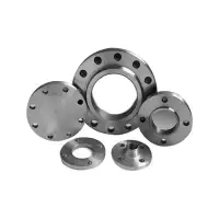 Monel Flange