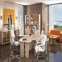 Office Furniture Skyland - Born