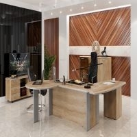 Office Furniture Dioni