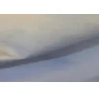 Non Woven Fabric