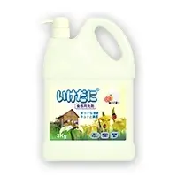 Dishwasher Detergent