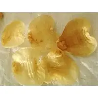 Ghol male fish maws