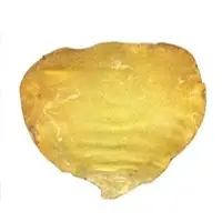Kote