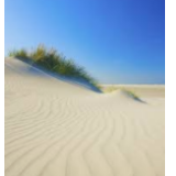 Beach Sand