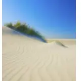 Beach Sand
