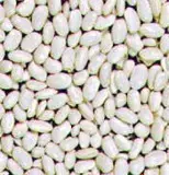 White Beans