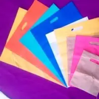 Non - Woven Bag