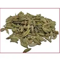 Fennel Seeds