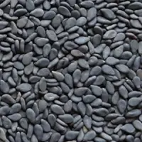 Black Sesame Seeds