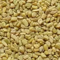 Fenugreek Seeds