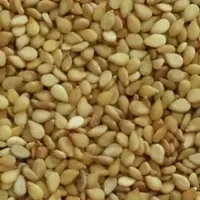 Golden Yellow Sesame Seeds