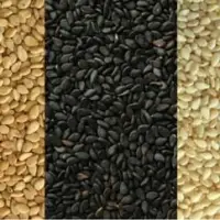 Roasted Sesame Seeds