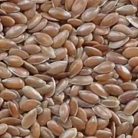 Flax Seeds
