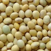 Soybeans