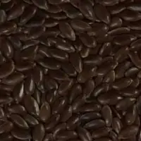 Roasted Organic Flax Seeds (Linseed)