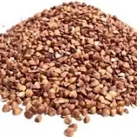 Buckwheat